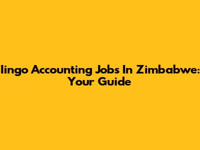 Iingo Accounting Jobs In Zimbabwe: Your Guide