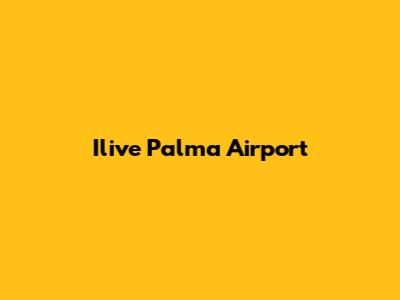 Ilive Palma Airport