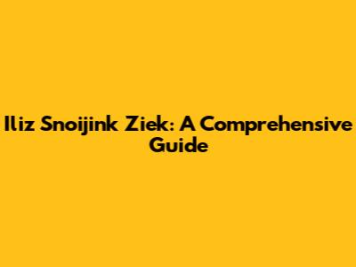 Iliz Snoijink Ziek: A Comprehensive Guide