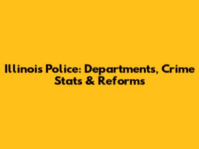 Illinois Police: Departments, Crime Stats & Reforms
