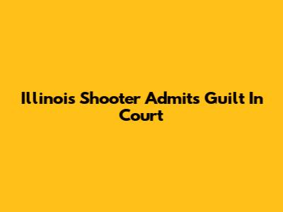 Illinois Shooter Admits Guilt In Court