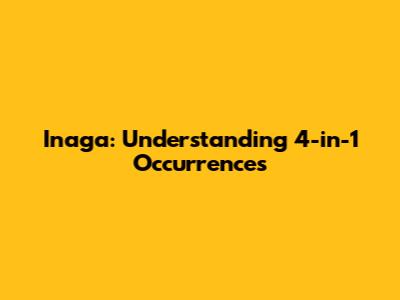 Inaga: Understanding 4-in-1 Occurrences