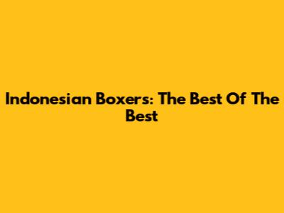 Indonesian Boxers: The Best Of The Best