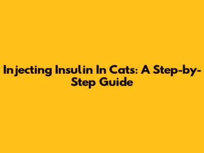 Injecting Insulin In Cats: A Step-by-Step Guide
