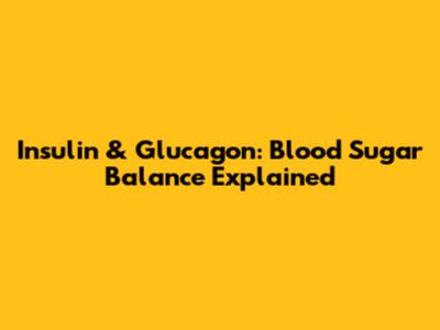Insulin & Glucagon: Blood Sugar Balance Explained