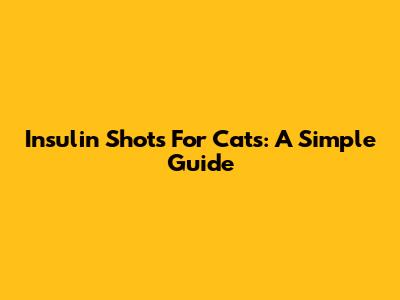 Insulin Shots For Cats: A Simple Guide