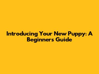 Introducing Your New Puppy: A Beginner's Guide