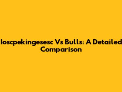 Ioscpekingesesc Vs Bulls: A Detailed Comparison