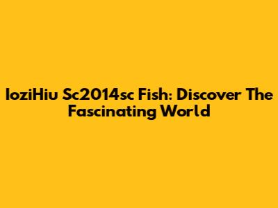 IoziHiu Sc2014sc Fish: Discover The Fascinating World