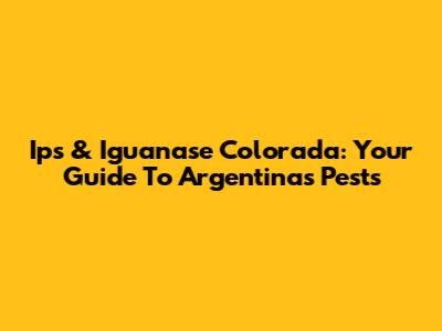 Ips & Iguanase Colorada: Your Guide To Argentina's Pests