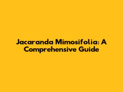 Jacaranda Mimosifolia: A Comprehensive Guide