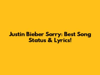 Justin Bieber Sorry: Best Song Status & Lyrics!