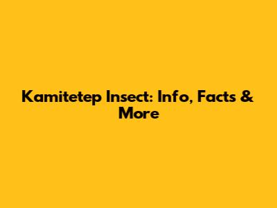 Kamitetep Insect: Info, Facts & More