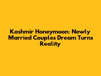 Kashmir Honeymoon: Newly Married Couple's Dream Turns Reality