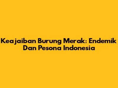 Keajaiban Burung Merak: Endemik Dan Pesona Indonesia