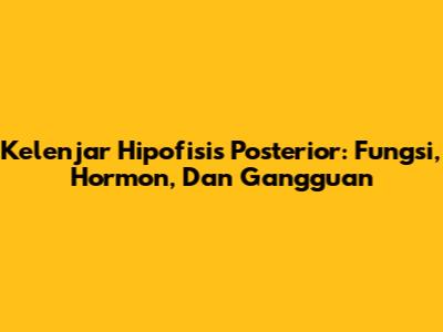 Kelenjar Hipofisis Posterior: Fungsi, Hormon, Dan Gangguan