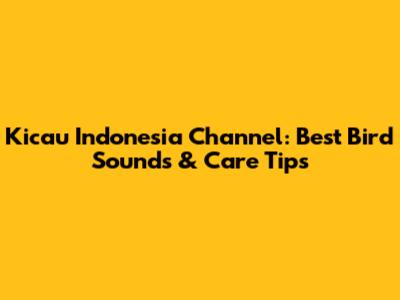 Kicau Indonesia Channel: Best Bird Sounds & Care Tips