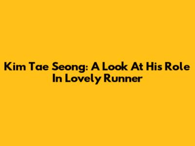 Kim Tae Seong: A Look At His Role In Lovely Runner