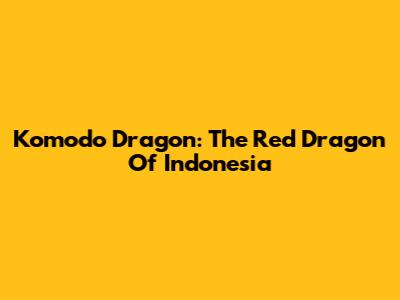 Komodo Dragon: The Red Dragon Of Indonesia