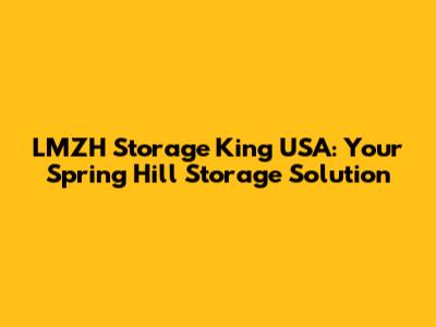 LMZH Storage King USA: Your Spring Hill Storage Solution