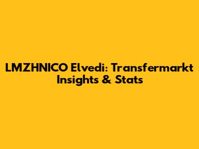 LMZHNICO Elvedi: Transfermarkt Insights & Stats