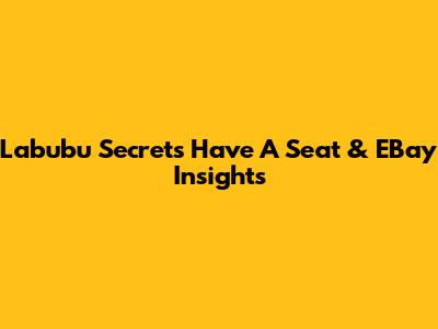Labubu Secret's 'Have A Seat' & EBay Insights