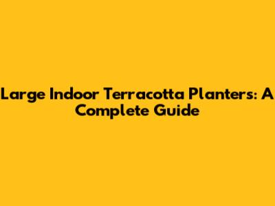 Large Indoor Terracotta Planters: A Complete Guide
