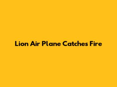 Lion Air Plane Catches Fire