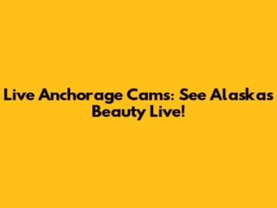 Live Anchorage Cams: See Alaska's Beauty Live!