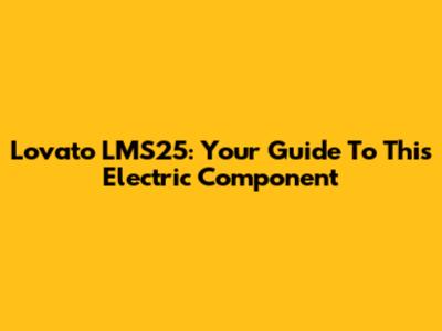 Lovato LMS25: Your Guide To This Electric Component