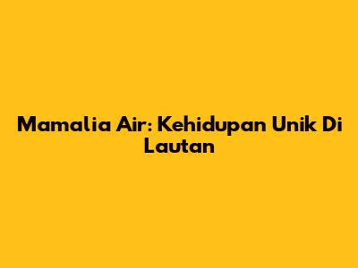 Mamalia Air: Kehidupan Unik Di Lautan