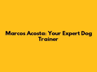 Marcos Acosta: Your Expert Dog Trainer