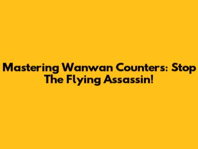 Mastering Wanwan Counters: Stop The Flying Assassin!