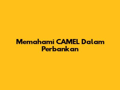 Memahami CAMEL Dalam Perbankan