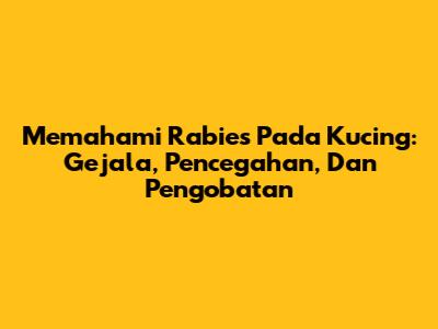 Memahami Rabies Pada Kucing: Gejala, Pencegahan, Dan Pengobatan