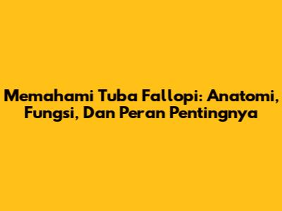 Memahami Tuba Fallopi: Anatomi, Fungsi, Dan Peran Pentingnya