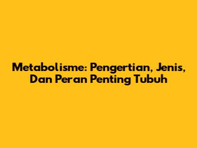 Metabolisme: Pengertian, Jenis, Dan Peran Penting Tubuh