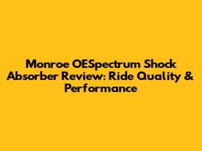 Monroe OESpectrum Shock Absorber Review: Ride Quality & Performance