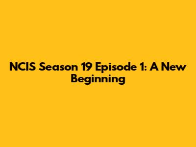 NCIS Season 19 Episode 1: A New Beginning