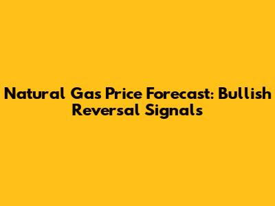 Natural Gas Price Forecast: Bullish Reversal Signals