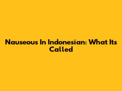 Nauseous In Indonesian: What It's Called