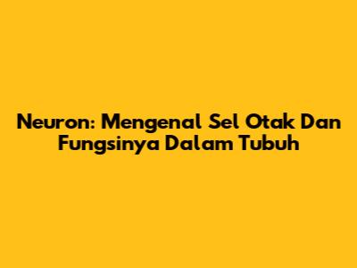 Neuron: Mengenal Sel Otak Dan Fungsinya Dalam Tubuh