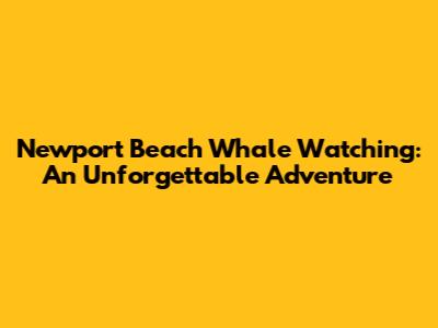 Newport Beach Whale Watching: An Unforgettable Adventure