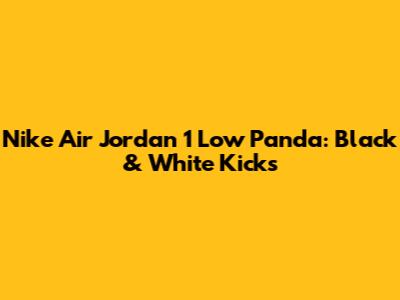 Nike Air Jordan 1 Low Panda: Black & White Kicks