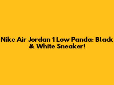 Nike Air Jordan 1 Low Panda: Black & White Sneaker!