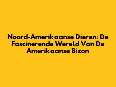 Noord-Amerikaanse Dieren: De Fascinerende Wereld Van De Amerikaanse Bizon