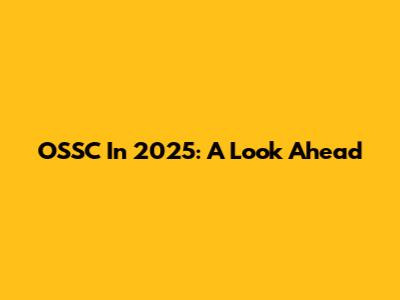OSSC In 2025: A Look Ahead