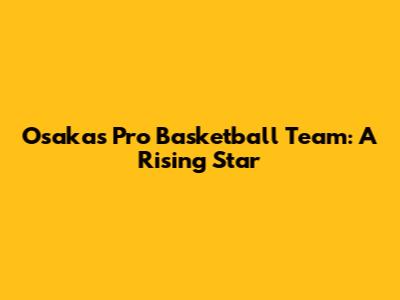 Osaka's Pro Basketball Team: A Rising Star