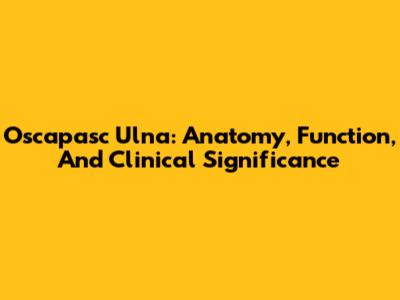 Oscapasc Ulna: Anatomy, Function, And Clinical Significance
