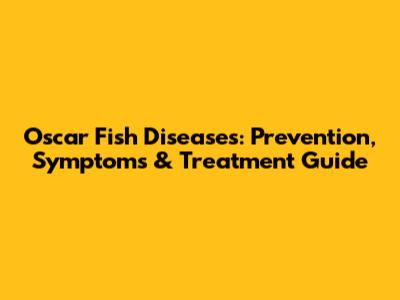 Oscar Fish Diseases: Prevention, Symptoms & Treatment Guide